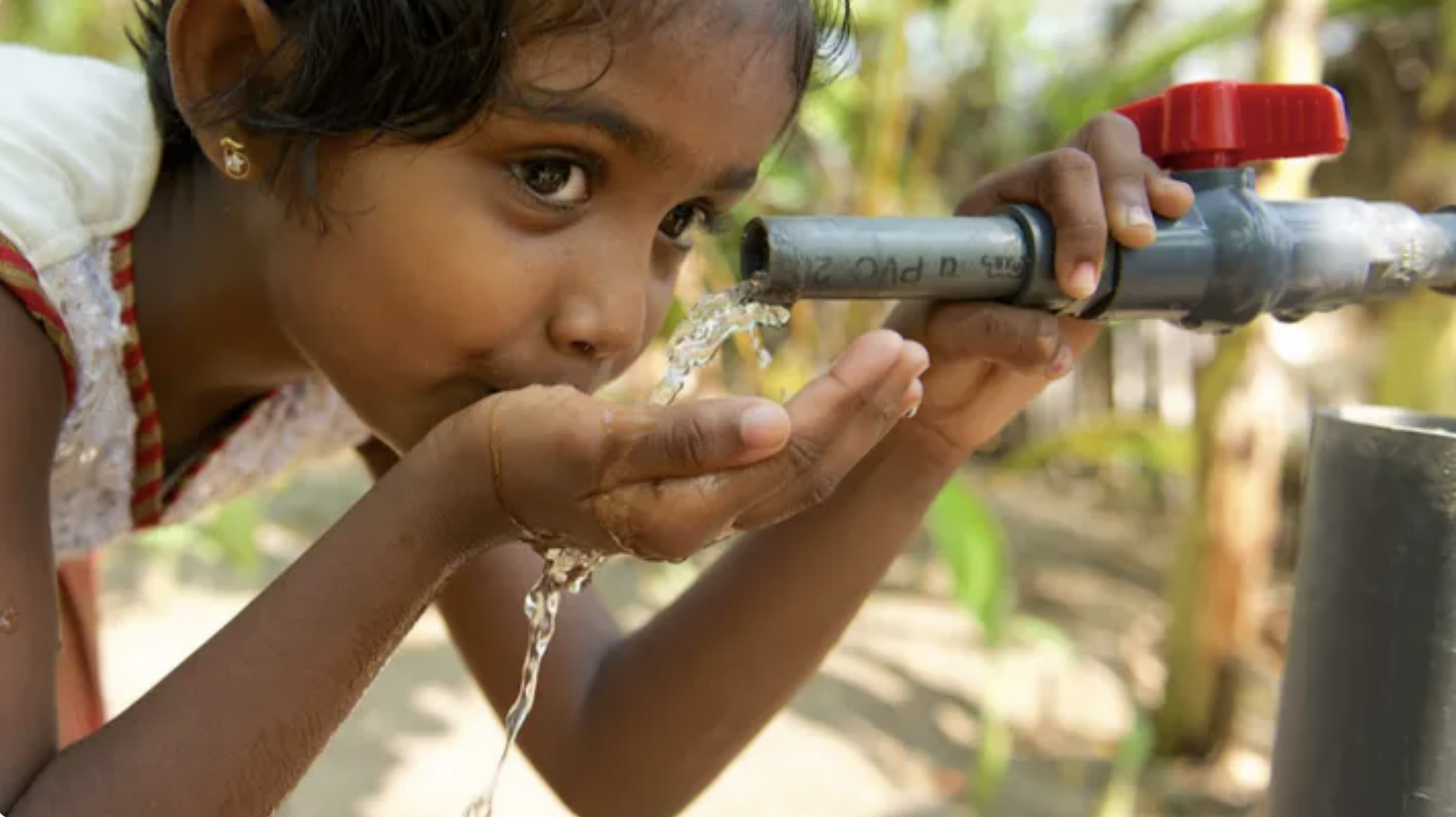 Sri Lankan village where the clean water project will be built